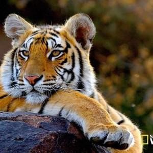 Meet your Posher, Juan carlos